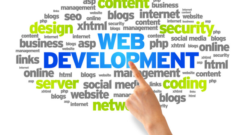 What services does a web development company provide?