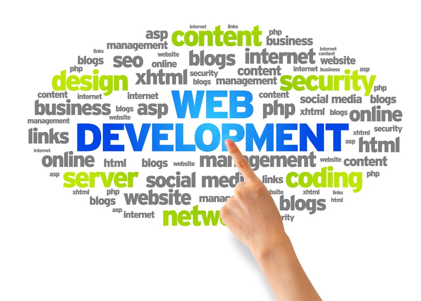What services does a web development company provide?