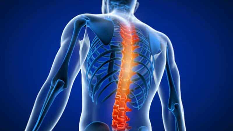 How Long Does Spine Surgery Take?